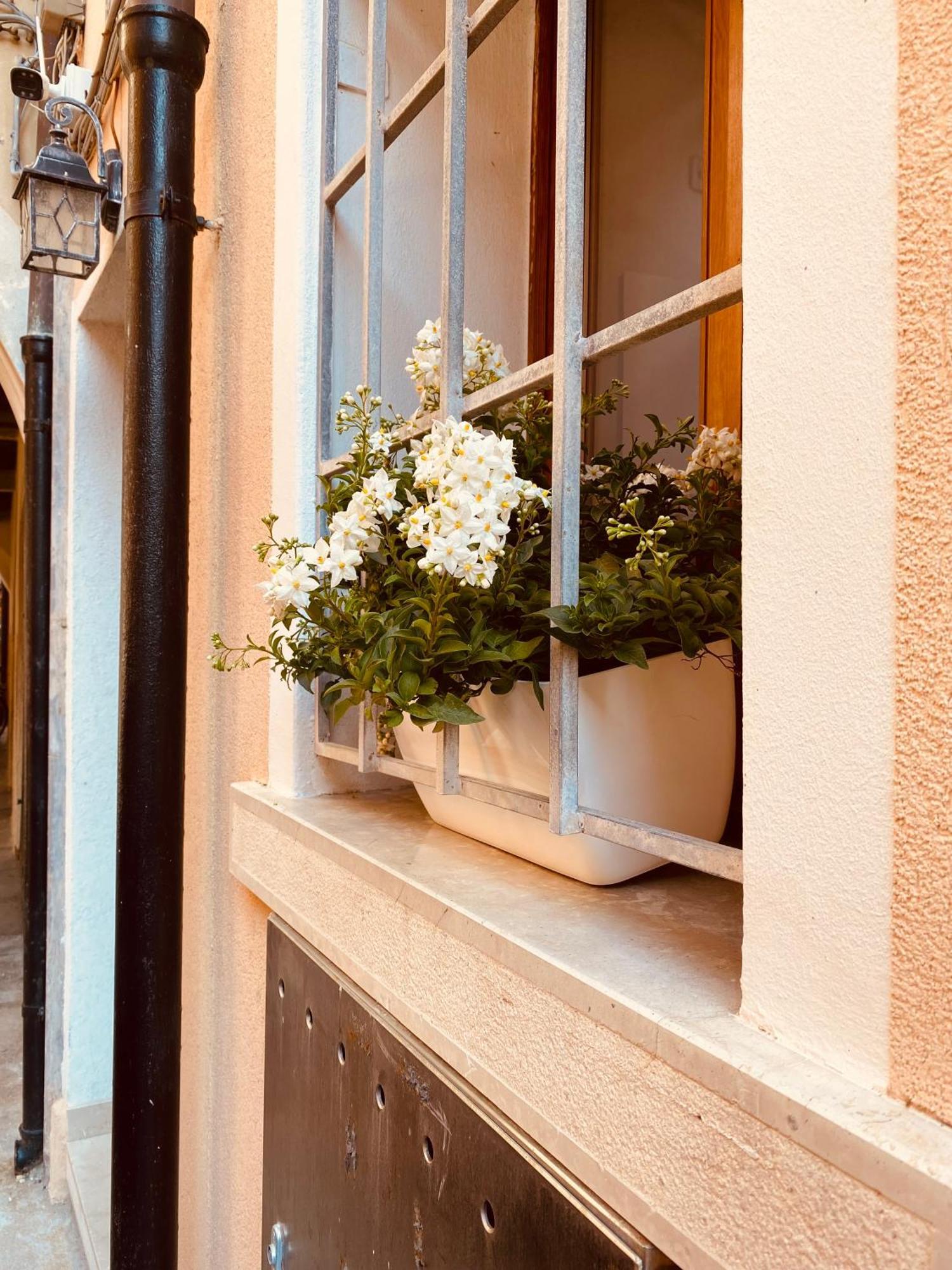 Casabella Chioggia Casa Indipendente Con Corte Dış mekan fotoğraf